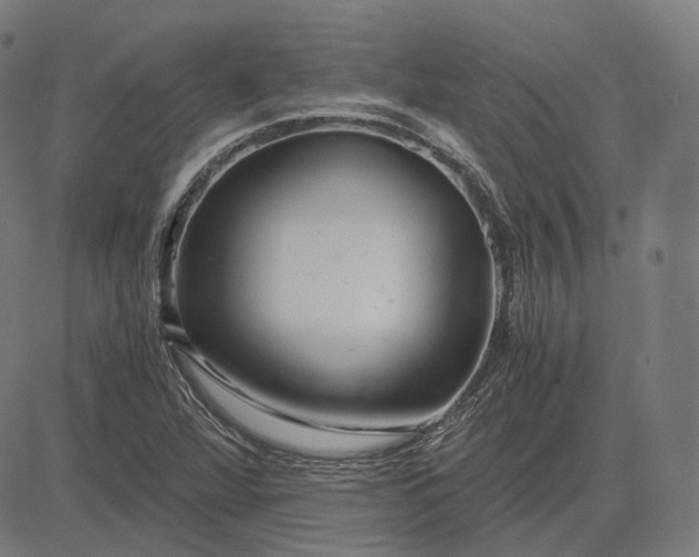 X0000084551360200703091709