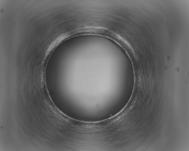 X0000084551362200703091708
