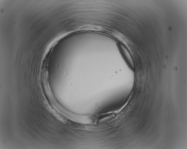 X0000084551379200703091708