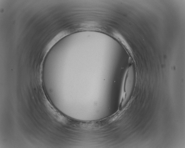 X0000084551386200703091708