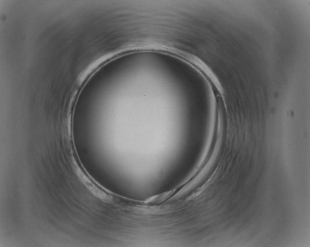 X0000084551388200703091708