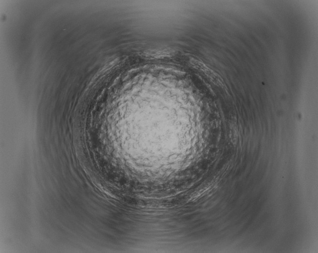 X0000084551393200703091707