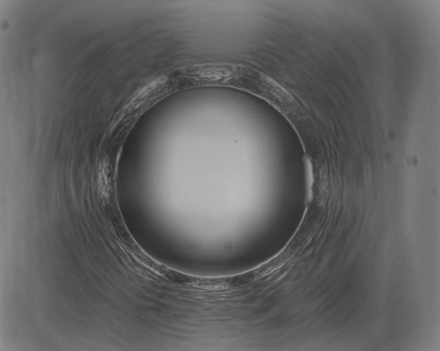 X0000084551394200703091707