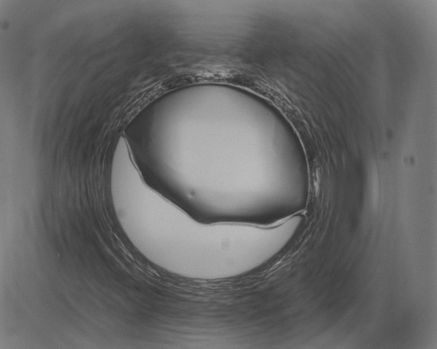 X0000084551396200703091707