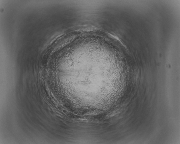 X0000084551399200703091707