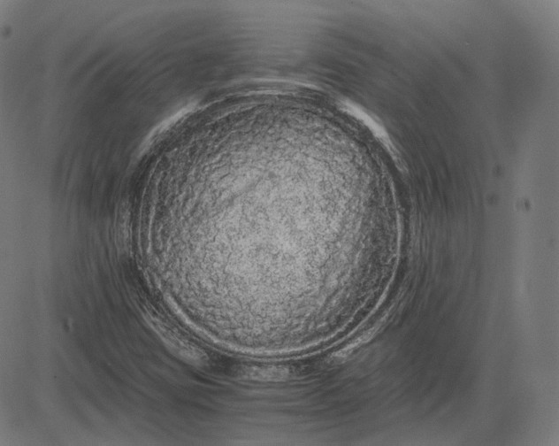 X0000084551403200703091707