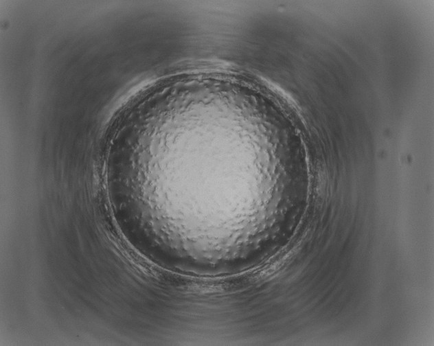 X0000084551407200703091707