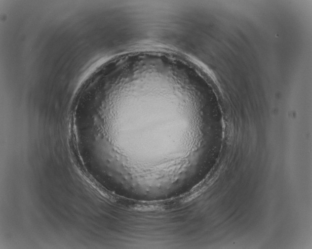 X0000084551415200703091708