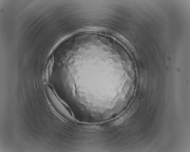 X0000084551417200703091708