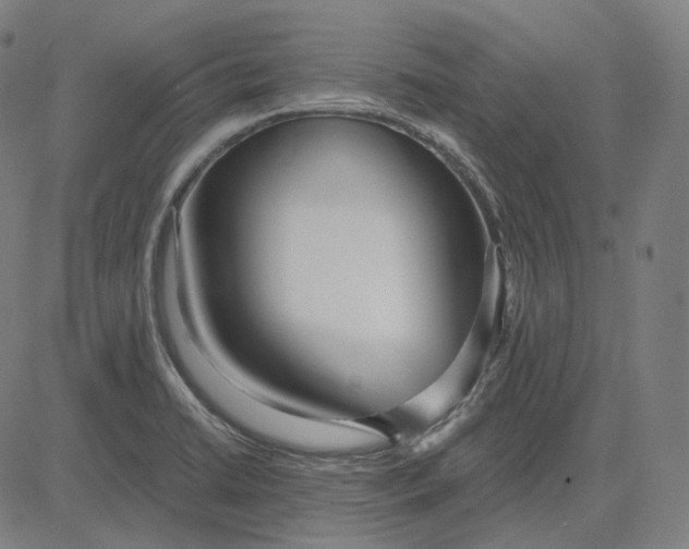 X0000084551422200703091708