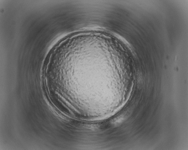 X0000084551423200703091708