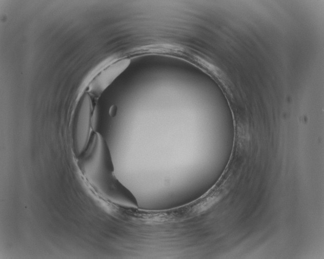 X0000084551426200703091708