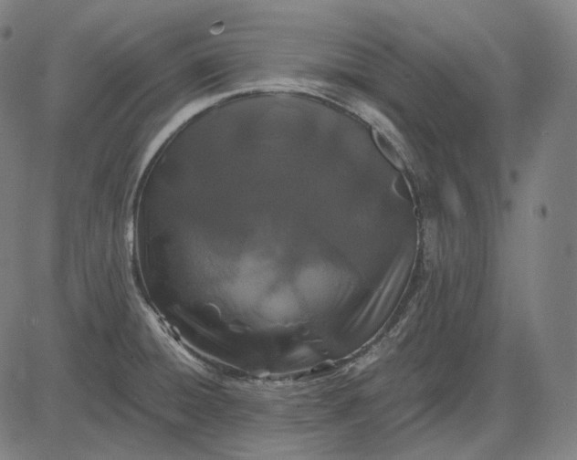 X0000084551428200703091708