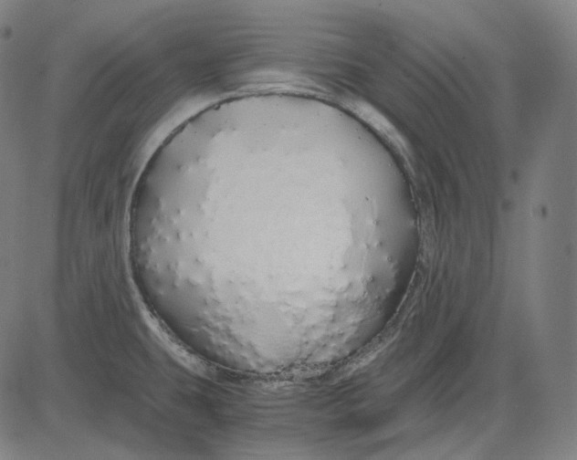 X0000084551431200703091708