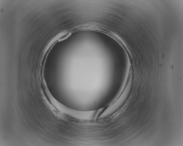 X0000084551434200703091708