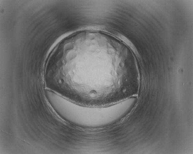 X0000084551436200703091708