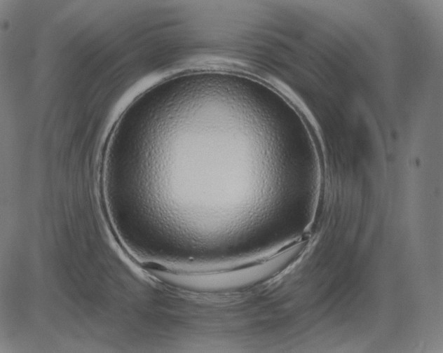 X0000084551437200703091708