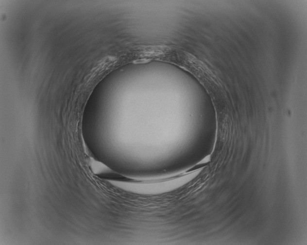 X0000084551441200703091707