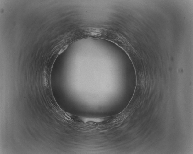 X0000084551442200703091707