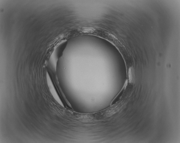 X0000084551443200703091707