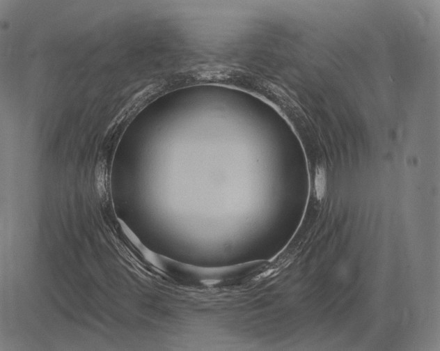 X0000084551444200703091707