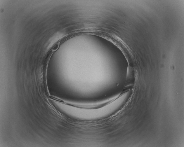 X0000084551450200703091707