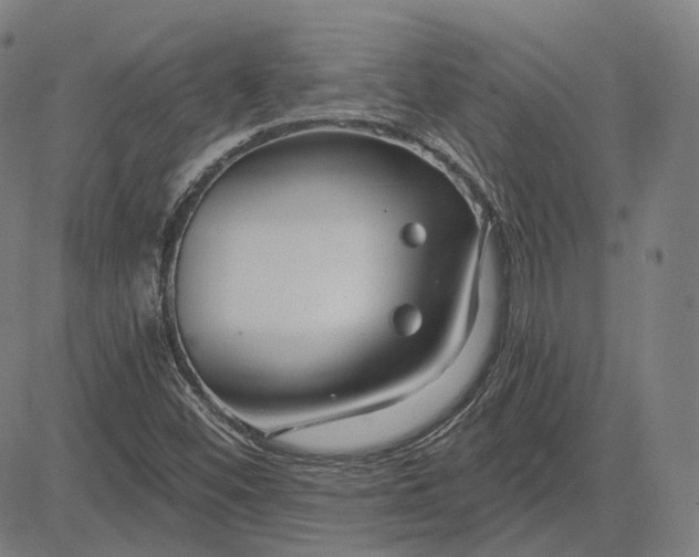 X0000084551452200703091707