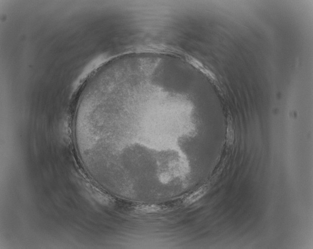 X0000084551454200703091707