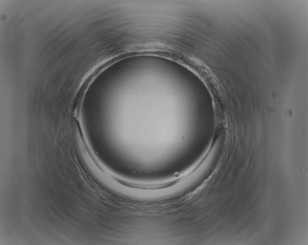 X0000084551457200703091707