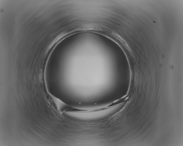 X0000084551465200703091707