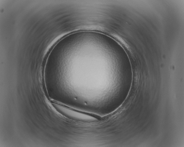 X0000084551468200703091707