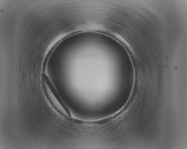 X0000084551469200703091707