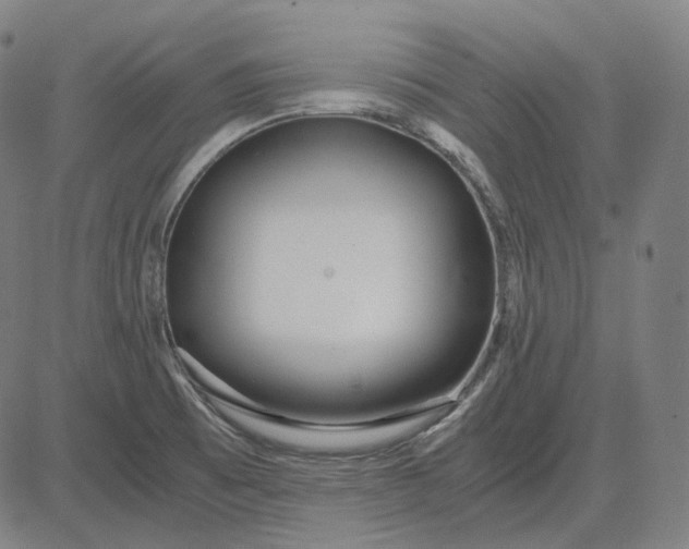 X0000084551473200703091707