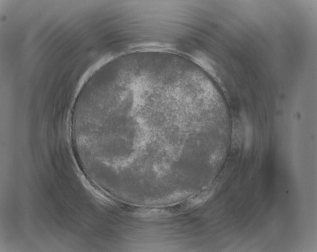 X0000084551474200703091707