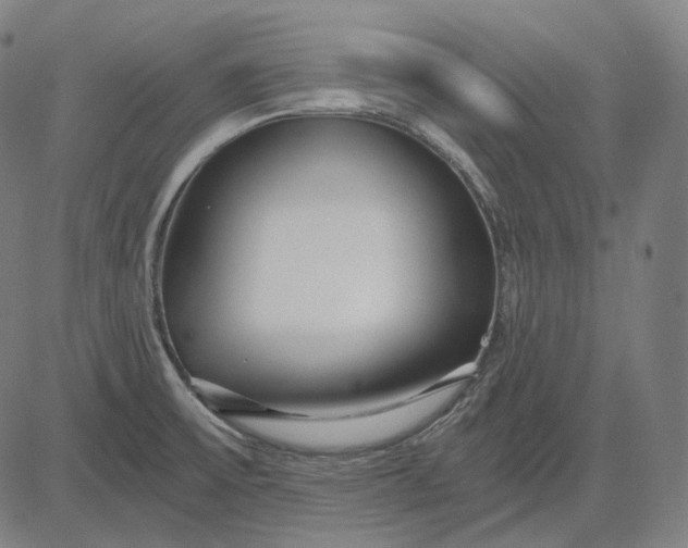 X0000084551475200703091707