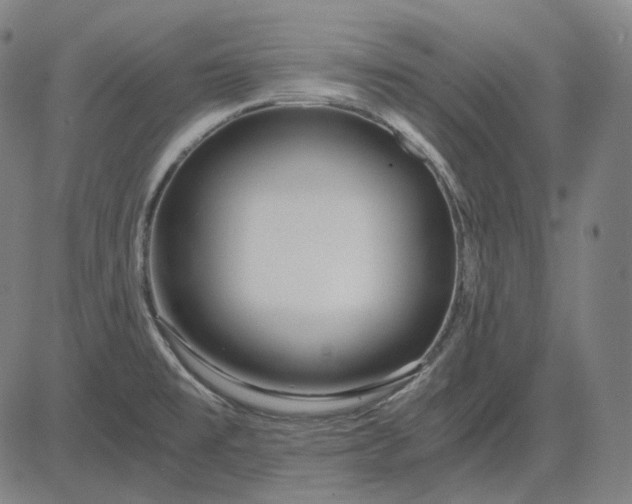 X0000084551477200703091707