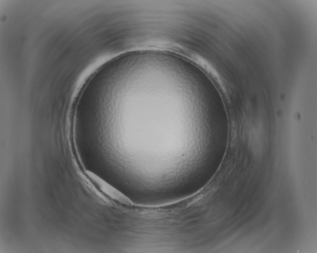 X0000084551480200703091707