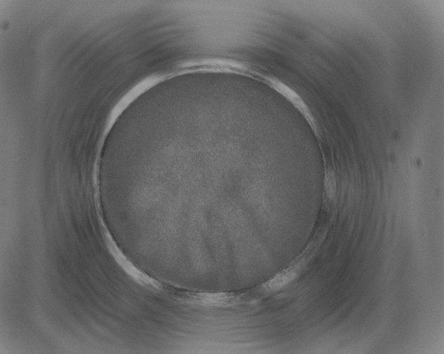 X0000084551482200703091706