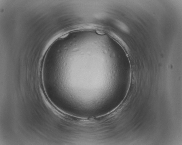 X0000084551483200703091706