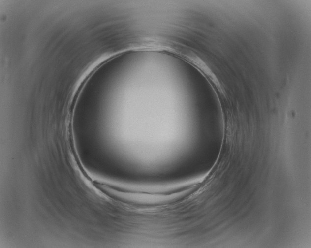 X0000084551484200703091706
