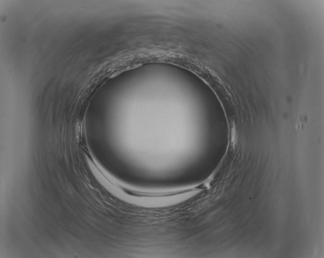 X0000084551492200703091706
