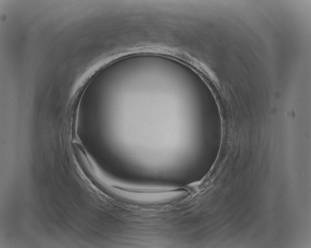 X0000084551504200703091706