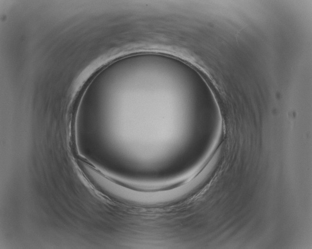 X0000084551511200703091706