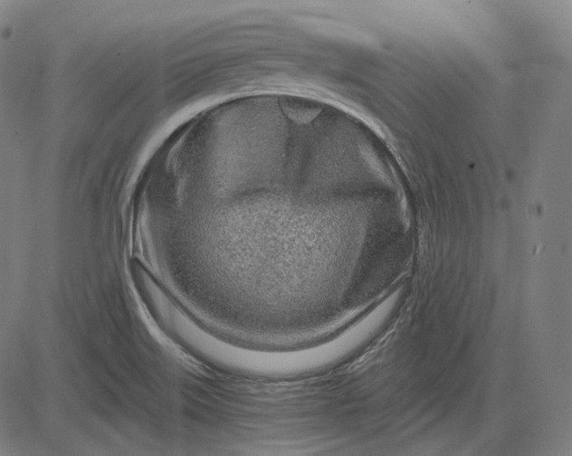X0000084551515200703091706