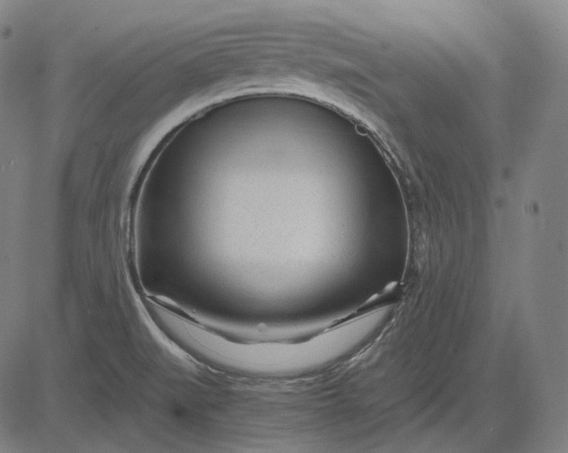 X0000084551519200703091706