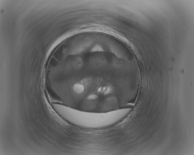 X0000084551522200703091706