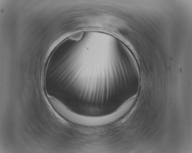 X0000084551533200703091706