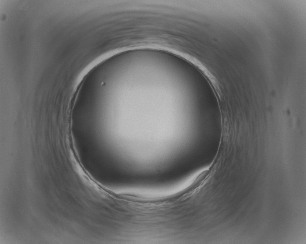 X0000084551534200703091706
