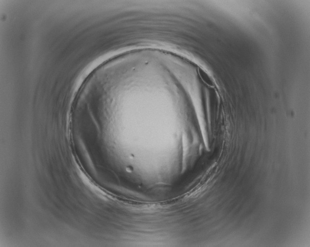 X0000084551535200703091706
