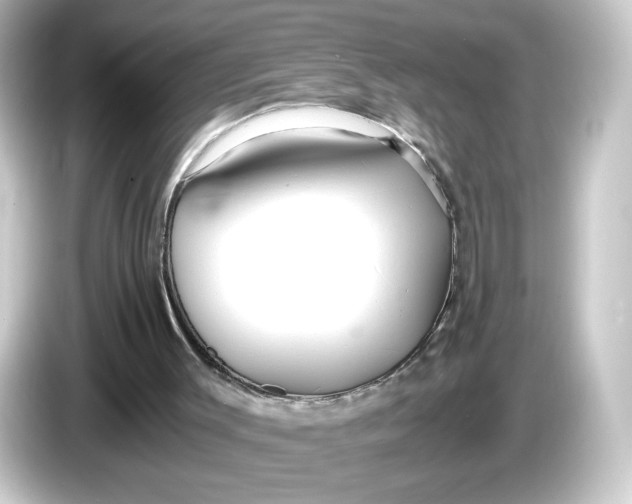 X0000084550003200703161655